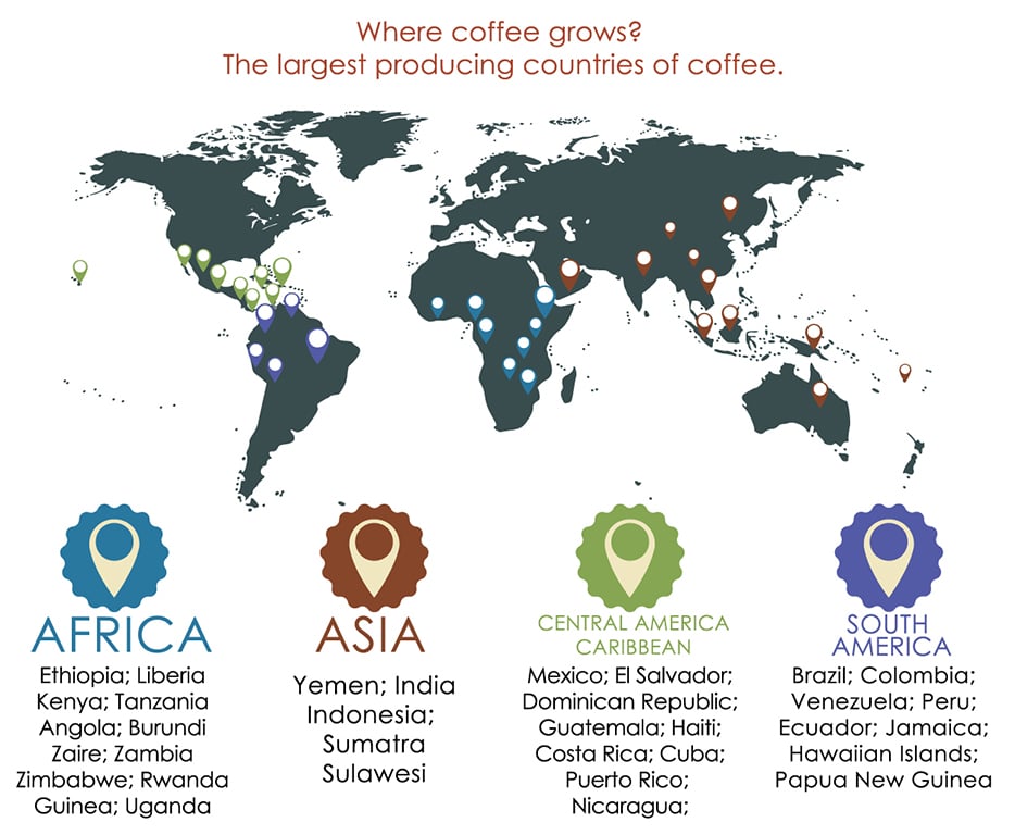 Coffee is grown. Кофейный пояс земли. Месторождение кофе. Where is Coffee grown. Страны произрастания кофе.